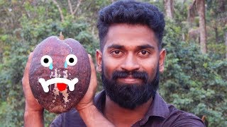 Open Coconuts Without Any Tools/ഇങ്ങനെയും  തേങ്ങ  പൊതിക്കാം  എങ്ങനെ ???? |