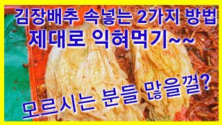 김장김치양념 속넣는 방법 2가지 김장배추 김장속양념 만들기 전원일기