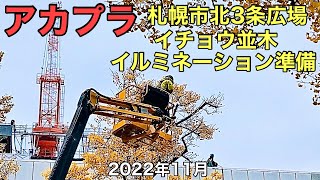 アカプラ.札幌市北 3条広場.イチョウ並木イルミネーション準備.2022年11月.北海道ジャパン