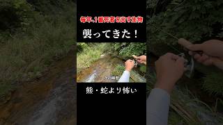 渓流釣りで死を感じた瞬間… #渓流ルアー #生物 #shorts #渓流釣り #山奥