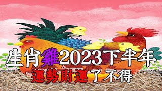 【生肖雞】2023下半年運勢財運了不得！家裡有屬雞的朋友趕緊來看看！生肖雞人下半年注意事項以及怎麼提升 ‘’運勢財運‘’你是屬雞的嗎？【佛語】