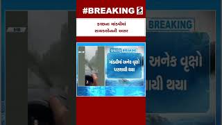 Breaking : Kutch ના માંડવીમાં સાયકલોનની અસર | Biparjoy Cyclone Update | Cyclone Weather Forecast