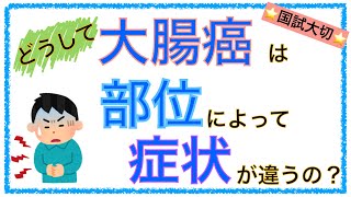 教科書をわかりやすく！「どうして大腸癌は部位によって症状が違うの？」