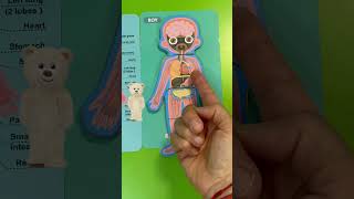 Play and Learn: The Human Body layers Jigsaw Puzzle Organs and Circulatory System part 2