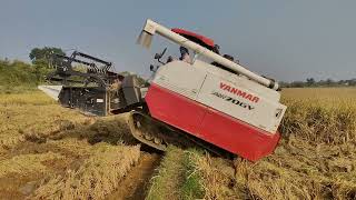 Yanmar aw70gv harvester in water