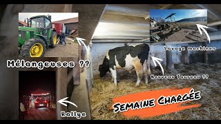 Semaine chargée !! | Nouveau Taureau ??