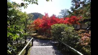 京都の紅葉 Autumn leaves in Kyoto　光悦寺 kouetsu-ji