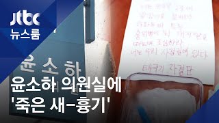 윤소하 의원실에 '죽은 새-흉기' 택배…지문 감식 착수