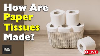 How Are Paper Tissues Made? | History of Paper Tissue-making
