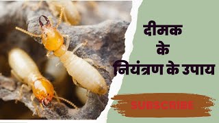 दीमक के नियंत्रण के जैविक तथा रासायनिक उपाय | termite control | termite treatment |  दीमक का इलाज |