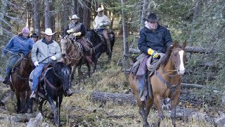 The Cowboy and the Canadian West by Stephen J. Thorne