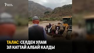 Талас: селден улам эл каттай албай калды