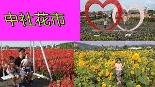 到台中后里中社花市走走，看漂亮的花 || Melihat Bunga di Taichung Zhong She Flower Garden