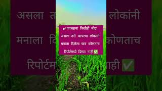 दवाखाना किती मोठा असला तरी आपल्या लोकांनी दिलेला  कोणत्याच#trending #realfacts #shrotfeed #ytstorts