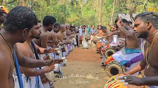 പതികാലം മദ്ദളം താളവട്ടം \u0026 കൂട്ടിക്കൊട്ടൽ| കല്ലഴി പൂരം 2025 സഭാമഠം പഞ്ചവാദ്യം #panchavadyam #music