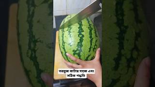 তরমুজ কাটার সহজ এবং সঠিক পদ্ধতি /watermelon cutting skill#watermelon #easyrecipe #shortvideo #shorts