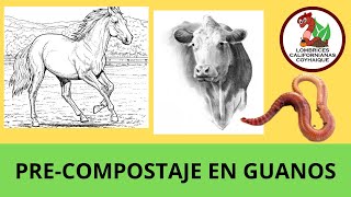 PRE-COMPOSTAJE EN GUANOS / #52