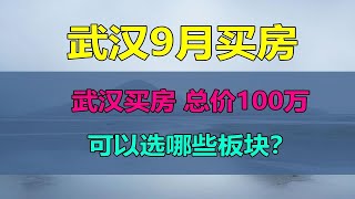 武汉买房，总价一百万左右，可以选哪些板块？