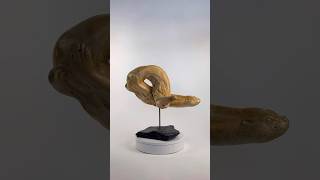 Swimming Otter Wood Carving Art From Tree - Nature Sculpture Artwork by Artist Michelle Thevenot