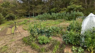 岩手県・無農薬・野菜・加工・子供にも安心して食べさせたい