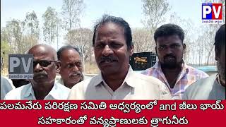 పలమనేరు పరిరక్షణ సమితి ఆధ్వర్యంలో and జీలు భాయ్ సహకారంతో వన్యప్రాణులకు త్రాగునీరు