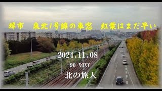 泉北の少々早い紅葉の車窓　　　　　　2024.11.08