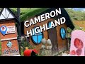 #video CAMERON HIGHLAND | MALAYSIA