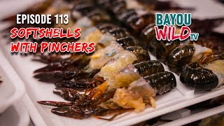 Bayou Wild [ep 113] SOFTSHELLS WITH PINCHERS