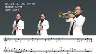 꽃순이를 아시나요(김국환)Trumpet Cover Moon Jaeho