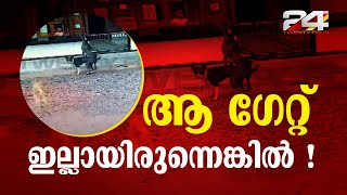 വീടിന്റെ വരാന്തയിലെ ഗേറ്റ് തുണയായി, പിഞ്ചുകുഞ്ഞ്‍ തെരുവുനായകളിൽ നിന്ന് രക്ഷപെട്ടത് തലനാരിഴയ്ക്ക്