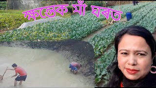 আপোন গাঁৱৰ মাৰ ঘৰত অলপ সময় | village vlog | assamese vlog