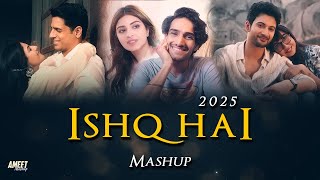 Ishq Hai Love Mashup 2025 | AMEET Mashup | Mismatched 3 | Tere Bina Na Guzara E | Best of Love 2024