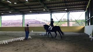 令和2年度    関東学生馬術選手権・関東学生馬術女子選手権大会    第92回関東学生馬術選手権大会    3回戦    二年次    丸山翔也    桜迅