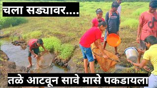 चला सड्यावर तळे आटवून मासे पकडायला | कोकणातील सावे मासेमारी | kokanatil sadyavarchi masemari #kokan