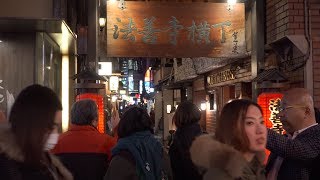 Japan, Day 12.4, Osaka - Walking around Hozenji Yokocho 法善寺横丁, Full Video [4K, Zhiyun Crane]