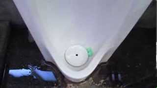 【HD版】 TOTO U53 6 Urinal Flushing