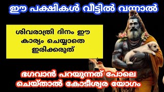 ഈ പക്ഷികൾ വീടിൻ്റെ അടുത്ത് വന്നാൽ ശിവരാത്രി ദിനം ഈ കാര്യം ചെയ്യാതെ ഇരിക്കരുത്... shivaratri 2025