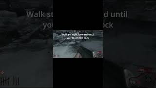 Who remembers this glitch on call of the dead?