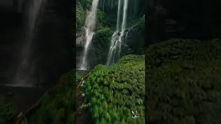 Morning Mountain Waterfall view #nature #mountains #waterfall