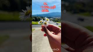 ඕනවට වඩා ඕනම දෙයක් එපා....!! #shortvideo