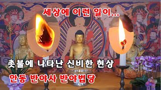 세상에 이런 일이 /기도 중 촛불에 나타난 신비한 현상 / 소원성취 운수대통 발원