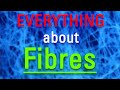 How to Say Fibres in English? | How Do Fibres Look? | What are Fibres?