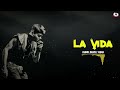 La Vida - Slowed - Reverb  KSHMR, Dabzee, Vedan