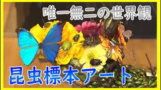 昆虫標本アート「小枝 正和」haremachiスペシャリスト