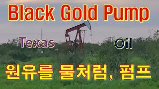 [캐나다 Trucker][Vlog #270] Black Gold Pump Jack !!!  텍사스 원유 시추 펌프 잭,  저런거 하나만 격렬하게 갖고싶다!(feat 부러움)