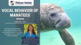 Vocal Behavior of Manatees Webinar 06.08.22
