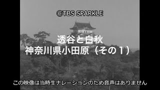 【TBSスパークル】透谷と白秋 神奈川県小田原（その１）Tokoku Kitamura and Hakushu Kitahara, Odawara, Kanagawa