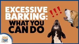 Why Your Dog Might Be Barking Excessively And What You Can Do To Help