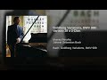 goldberg variations bwv 988 var. 28