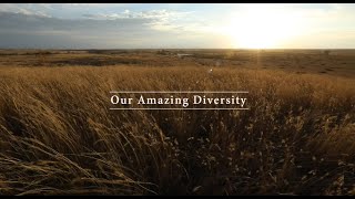 Our Amazing Diversity ~ Bryan Jorgensen, Ideal, SD